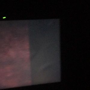 Meet your Posher, Sara camila